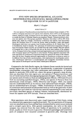 Five New Species of Bathyal Atlantic Ascothoracida (Crustacea: Maxillopoda) from the Equator to 50° N Latitude