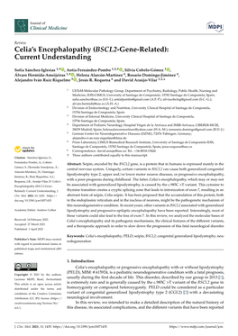 BSCL2-Gene-Related): Current Understanding