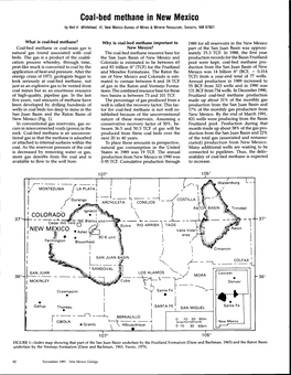 Coal-Bed Methane in New Mexico