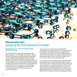Nanomaterials: Applying the Precautionary Principle