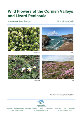 Wild Flowers of the Cornish Valleys and Lizard Peninsula