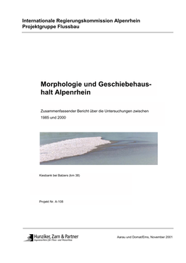 Bericht Morphologie Und Geschiebehaushalt Am Alpenrhein