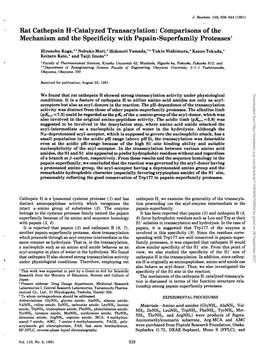 Rat Cathepsin H-Catalyzed Transacylation: Comparisons of the Mechanism and the Specificity with Papain-Superfamily Proteases1