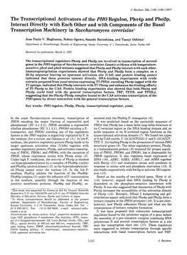 The Transcriptional Activators of the PHO Regulon, Pho4p And