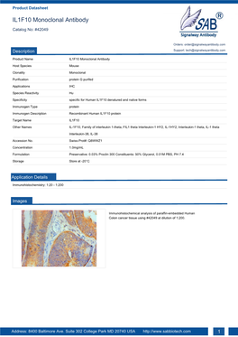 IL1F10 Monoclonal Antibody