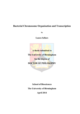 Bacterial Chromosome Organisation and Transcription