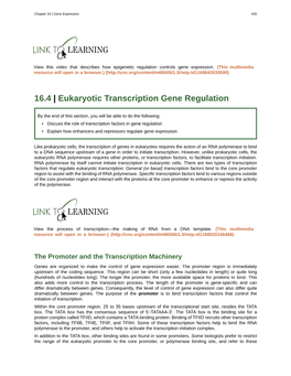 Eukaryotic Transcription Gene Regulation