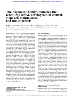 The Argonaute Family: Tentacles That Reach Into Rnai, Developmental Control, Stem Cell Maintenance, and Tumorigenesis