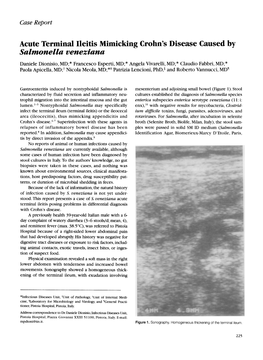 Acute Terminal Ileitis Mimicking Crohn's Disease Caused By