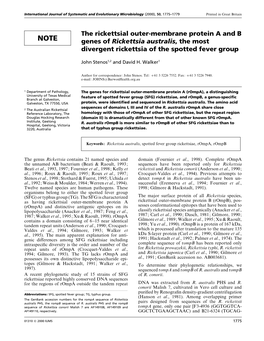 The Rickettsial Outer-Membrane Protein a and B Genes of Rickettsia