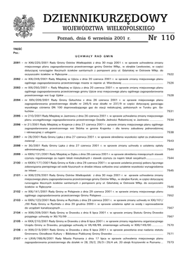 Dziennik Nr 110 2001.Pdf (4,07