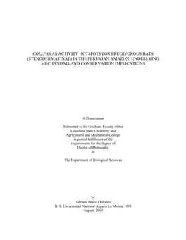 Collpas As Activity Hotspots for Frugivorous Bats (Stenodermatinae) in the Peruvian Amazon: Underlying Mechanisms and Conservation Implications