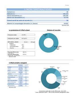 IL BACINO TERRITORIALE ROVIGO.Pdf