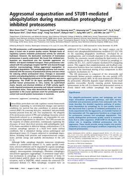 Aggresomal Sequestration and STUB1-Mediated Ubiquitylation During Mammalian Proteaphagy of Inhibited Proteasomes