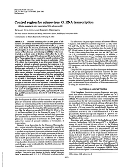Control Region for Adenovirus VA RNA Transcription