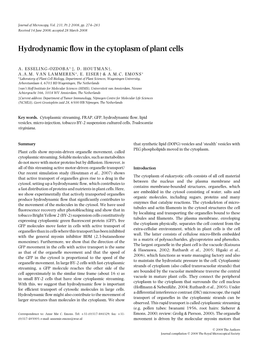 Hydrodynamic Flow in the Cytoplasm of Plant Cells