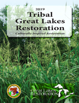 Tribal Great Lakes Restoration Culturally Inspired Restoration Sabin Dam Removal - Grand Traverse Band