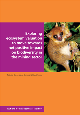 Exploring Ecosystem Valuation to Move Towards Net Positive Impact on Biodiversity in the Mining Sector