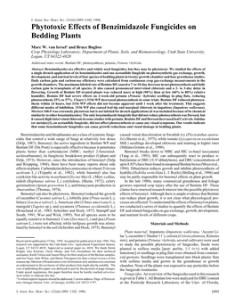 Phytotoxic Effects of Benzimidazole Fungicides on Bedding Plants