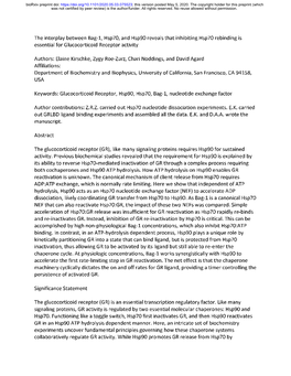 The Interplay Between Bag-1, Hsp70, and Hsp90 Reveals That Inhibiting Hsp70 Rebinding Is Essential for Glucocorticoid Receptor Activity