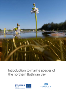 Seamboth-Introduction to Marine Species of the Northern Bothnian