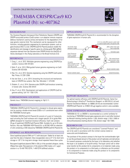 TMEM38A CRISPR/Cas9 KO Plasmid (H): Sc-407362