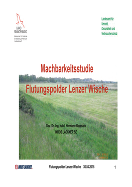 Machbarkeitsstudie Flutungspolder Lenzer Wische