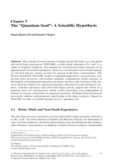 Chapter 5 the "Quantum Soul": a Scientific Hypothesis