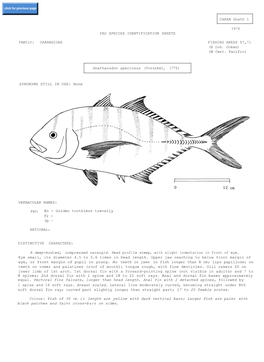 SYNONYMS STILL in USE: None FAO SPECIES IDENTIFICATION