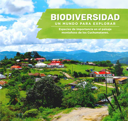 BIODIVERSIDAD UN MUNDO PARA EXPLORAR Especies De Importancia En El Paisaje Montañoso De Los Cuchumatanes