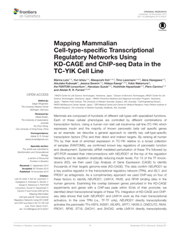 Mapping Mammalian Cell-Type-Specific Transcriptional