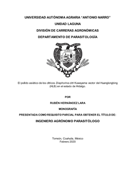 RUBÉN HERNÁNDEZ LARA.Pdf (5.798Mb)