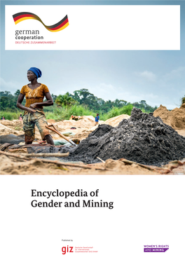 Encyclopedia of Gender and Mining 2 Introduction
