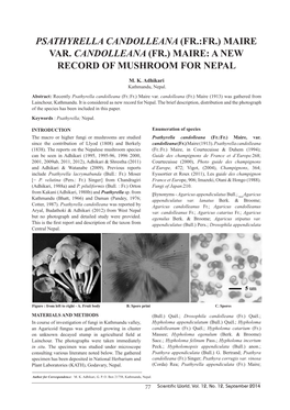 Psathyrella Candolleana (Fr.:Fr.) Maire Var. Candolleana (Fr.) Maire: a New Record of Mushroom for Nepal