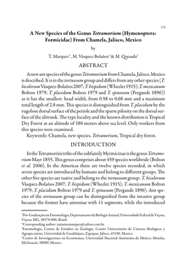 A New Species of the Genus Tetramorium (Hymenoptera: Formicidae) from Chamela, Jalisco, Mexico Abstract Introduction