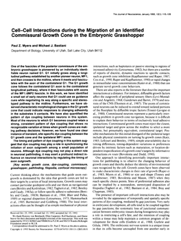 Cell-Cell Interactions During the Migration of an Identified Commissural Growth Cone in the Embryonic Grasshopper