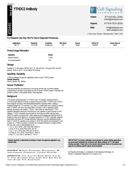 35440 YTHDC2 Antibody