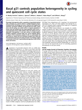 Basal P21 Controls Population Heterogeneity in Cycling and Quiescent Cell Cycle States