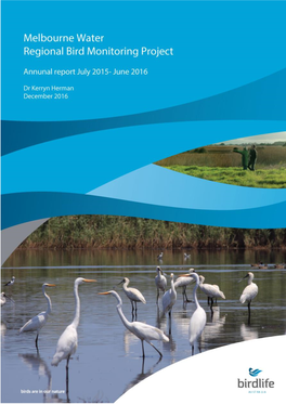 MW-Rbm-Annual Report-2016.Pdf