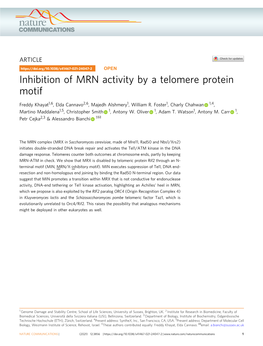 Inhibition of MRN Activity by a Telomere Protein Motif