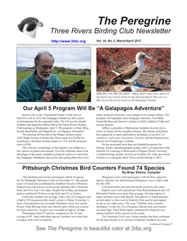 The Peregrine Three Rivers Birding Club Newsletter