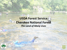 Snorkeling in the Cherokee National Forest