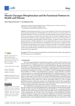 Muscle Glycogen Phosphorylase and Its Functional Partners in Health and Disease