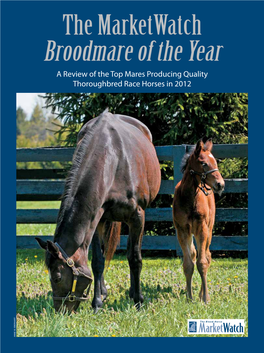 Broodmare of the Year a Review of the Top Mares Producing Quality Thoroughbred Race Horses in 2012 ANNE M