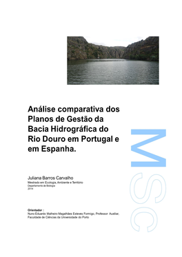 Análise Comparativa Dos Planos De Gestão Da Bacia Hidrográfica Do Rio Douro Em Portugal E Em Espanha