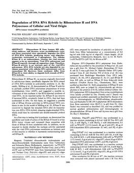 Degradation of DNA RNA Hybrids by Ribonuclease H and DNA