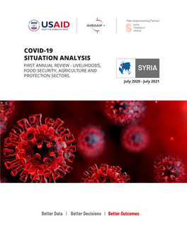 Syria Protection Sectors