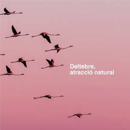 Deltebre, Atracció Natural .Desembocadura De L’Ebre