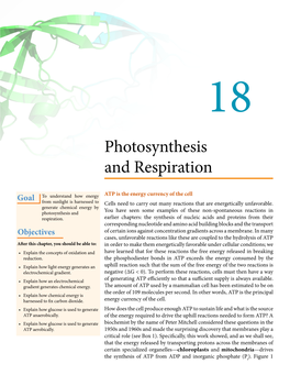 Photosynthesis and Respiration