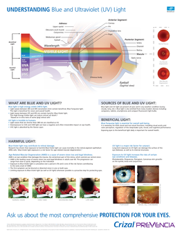 UNDERSTANDING Blue and Ultraviolet (UV) Light Ask Us About